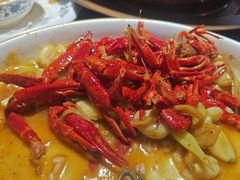 -京悦南门涮羊肉·羊蝎子火锅(田林路店)