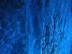 景点-珠江夜游广州塔·中大码头