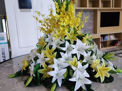 -维也纳国际酒店·成都龙泉汽车城航空学院店