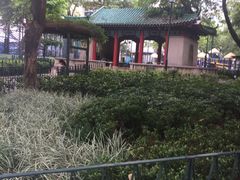 -九龙公园
