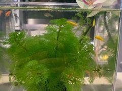 -趣陶陶艺手工坊(新世界百货重庆店)
