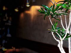 -不正咖啡(万达尊店)