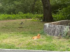 -北陵公园