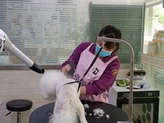 -暖阳宠物医院·犬猫康复中心·骨科