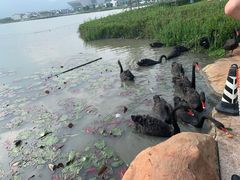-琅岐红光湖公园