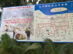 -东郊椰林