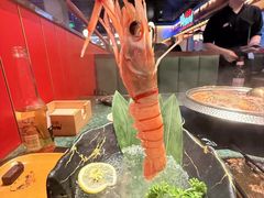 -牛New寿喜烧(金鹰世界店)