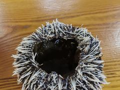 -板桥海鲜广场(文明东店)