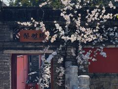 -潭柘寺景区