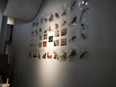 -boundaries籬苑(瑞光创意工厂-贰号院店)