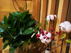 -李思健身工作室(总部基地店)