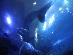 -成都浩海立方海洋公园