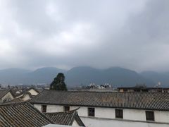 -喵屿·大理花园猫咖