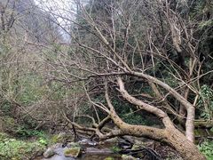 -水磨沟环境自然保护区