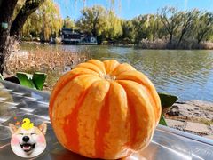 -三忘湖 SWANSEEN(柳荫公园店)