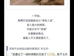 -昆明动物园
