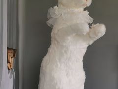 -Supine Bistro溯泮餐厅