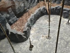 -武汉动物园