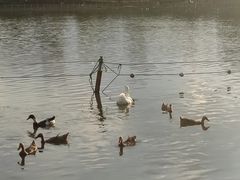 -黄兴公园