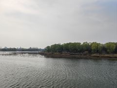 -大兴滨河森林公园