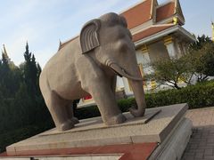 -洛阳白马寺