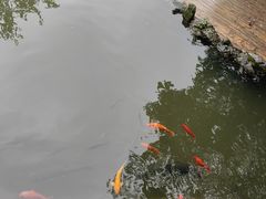 -孔氏南宗家庙