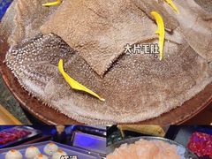 -王家渡火锅店(棕榈泉店)