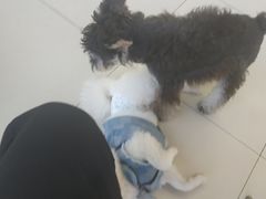 -怪兽屋·羊驼·猫咖·狗咖(俊华广场店)