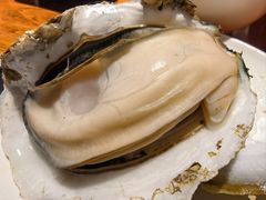 -烧蠔帮·湛江生蚝(南桥店)