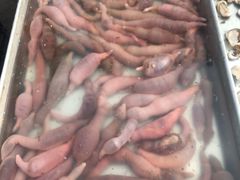 -生鲜便民超市(蚌埠店)