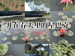-星巴克(深圳前海企业公馆店)