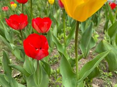 -长春公园(普阳街道)