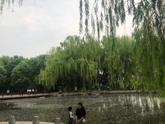 -玲珑塔公园
