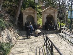 -上海佘山国家森林公园西佘山园