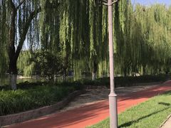 -南翠屏公园