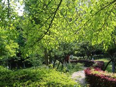 -重庆平顶山公园