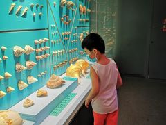 -贝林大翅鲸简餐厅(国家海洋博物馆店)