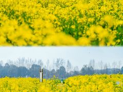 -中国天府农业博览园