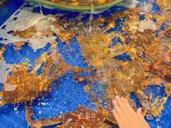 水产区-海景壹号大酒店(惠钱路店)