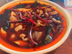 肥肠鸡爪砂锅-马头巷·食景园(苏州总店)