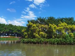 -大湾区中央湿地公园