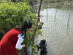 -上海怡沁园度假酒店