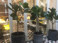 大堂-阿那亚第一食堂 Cafeteria 1