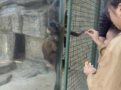 -泉州海丝野生动物世界