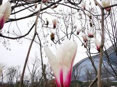 -桂溪生态公园