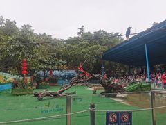 -广州长隆飞鸟乐园