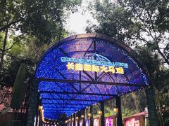 -广州长隆国际大马戏