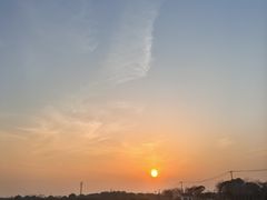 -西京湾花海