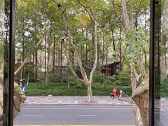 景观位-也枫·小黄楼(南山路旗舰店)