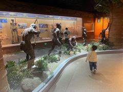 -国家自然博物馆